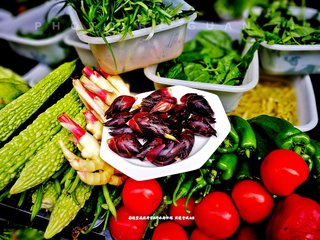 蔬菜种植需要买保险吗?蔬菜种植及设施大棚保险购买流程